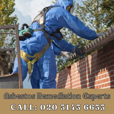 Asbestos Remediation Experts Bermondsey