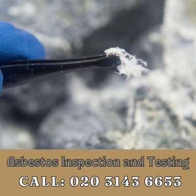 Comprehensive Asbestos Inspection and Testing Services in Bermondsey